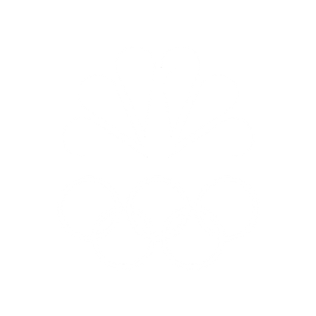 NBC Olympics